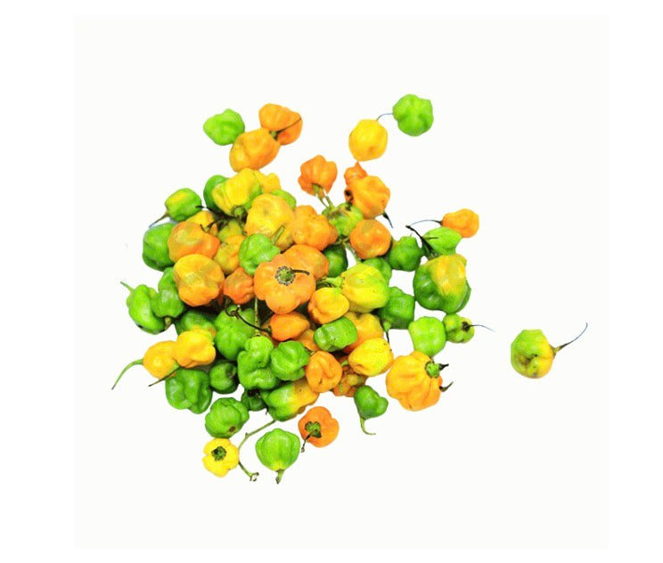 Piment Frais