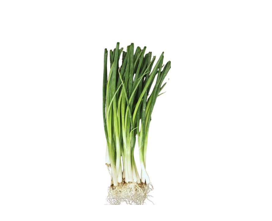 Oignons verte