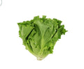 Salade Ordinaire