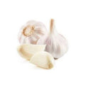Ail/Thum
 1KG