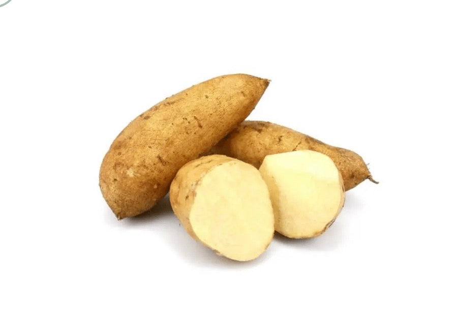 Patates douce Blanche
