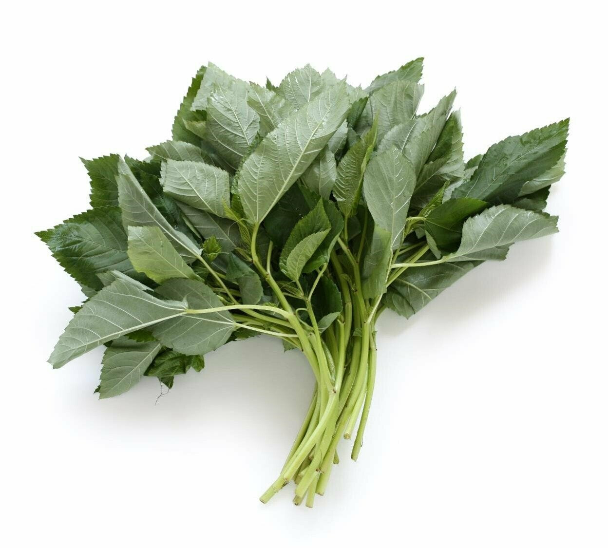 Mouloukhiya 1KG